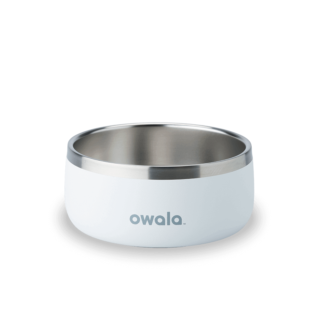 Pet Bowl R4